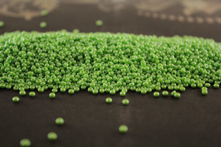 Бисер Чехия круглый 10/0 500 г 58310